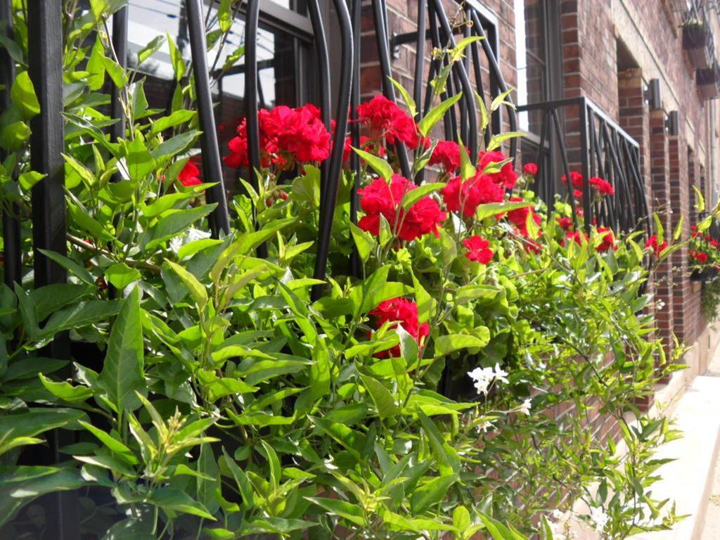 Bed and Breakfast Studio Living Montreal Exteriér fotografie